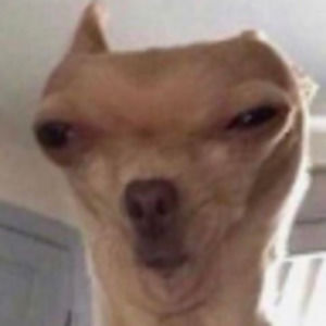 Meet your Posher, Everett